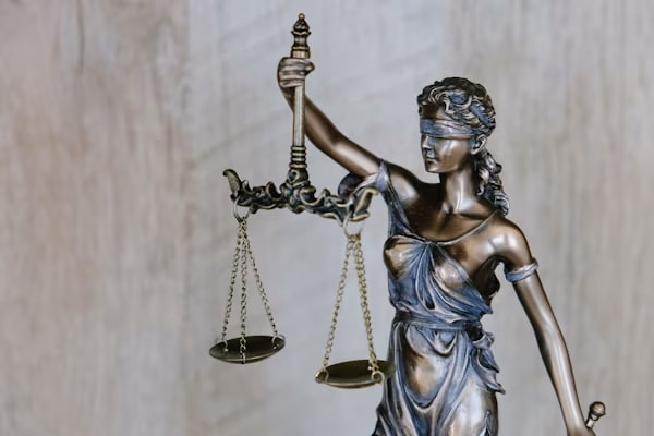 Legal & Law Firms